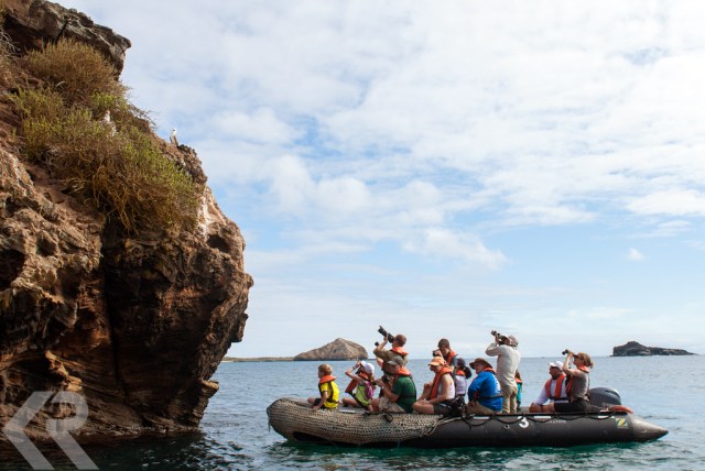 Photographing a Peruvian booby in the Galapagos Islands