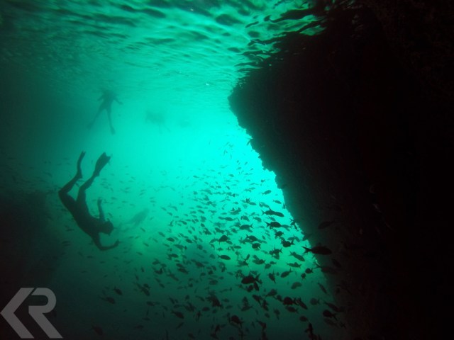 Snorkeling in the Galapagos Islands.