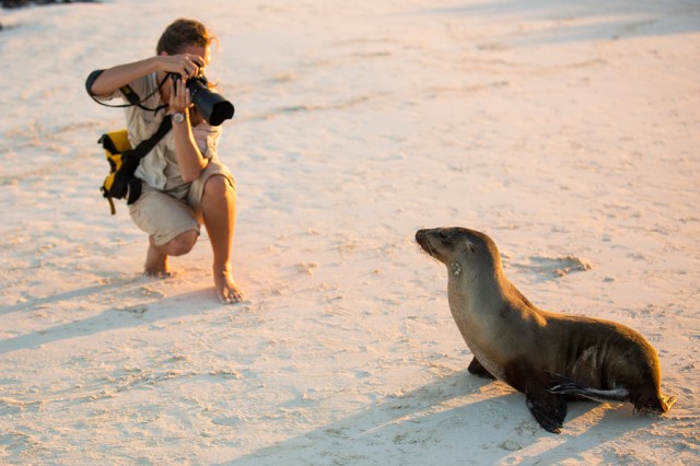 Krista photographing a sea lion in the Galapagos Islands. Photo by Naturalist and Photo Instructor Greg Aranea.
