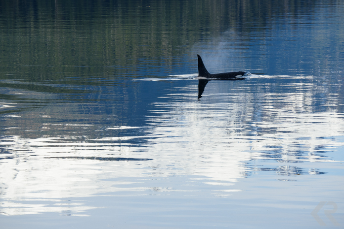 krista-rossow-alaska-expedition-5