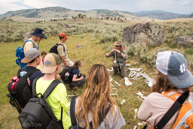 Krista-Rossow-Yellowstone-Forever-Lamar-Valley