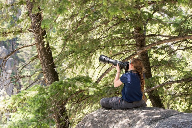 Krista-Rossow-Yellowstone-student-photographing