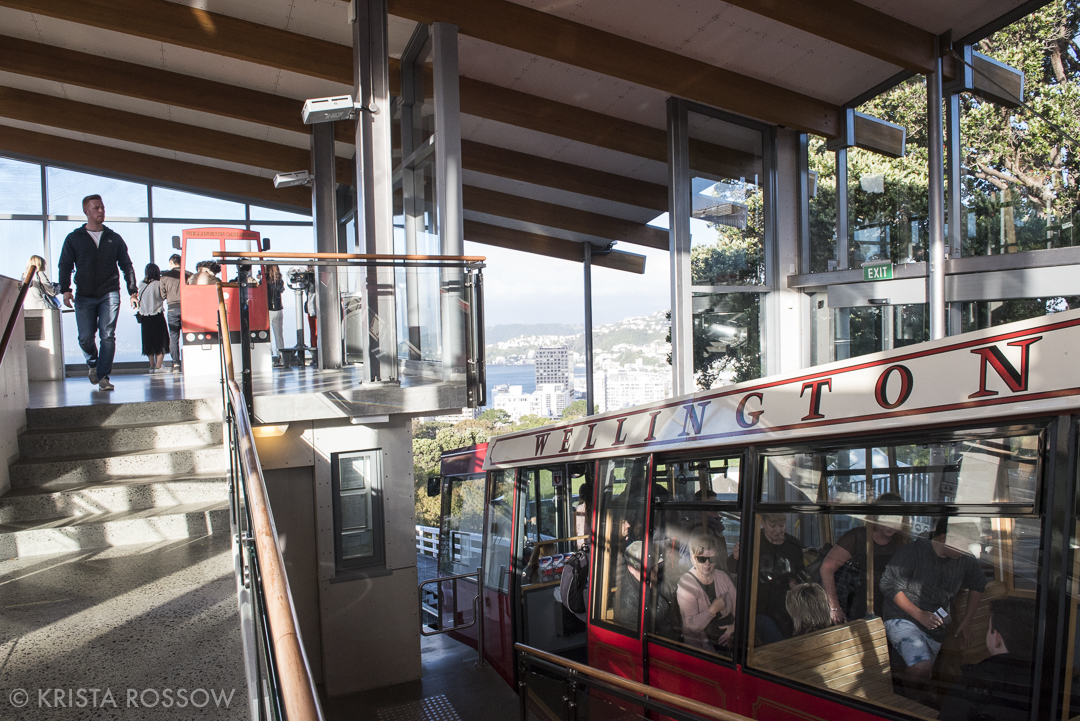 Wellington, New Zealand by Krista Rossow