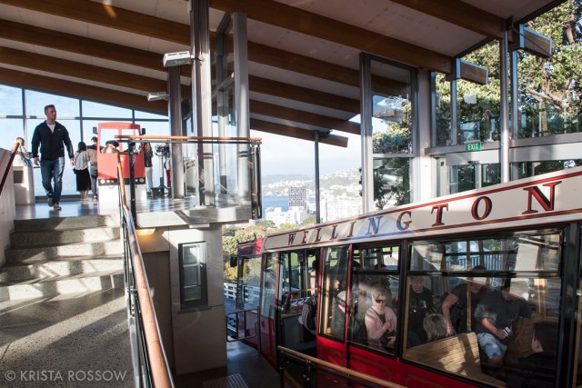 Wellington, New Zealand by Krista Rossow