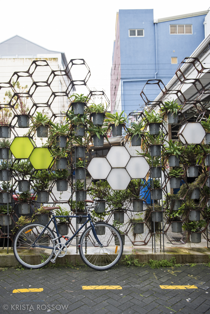 Wellington, New Zealand by Krista Rossow