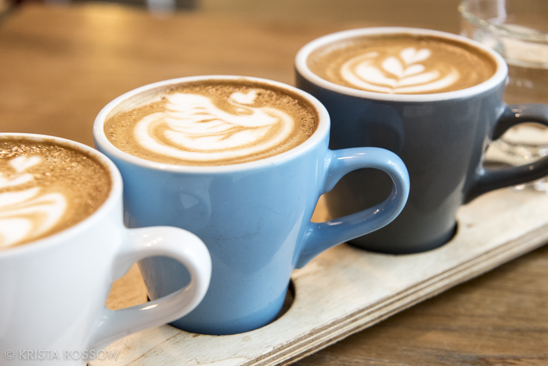 Wellington, New Zealand by Krista Rossow