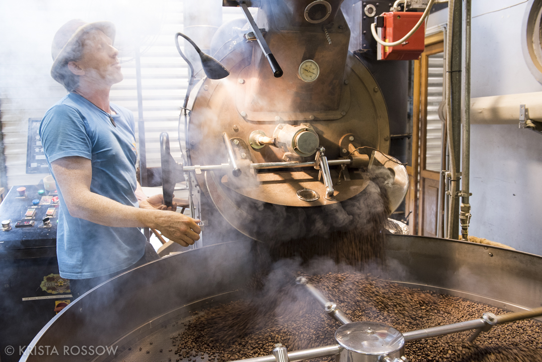 Wellington, New Zealand by Krista Rossow