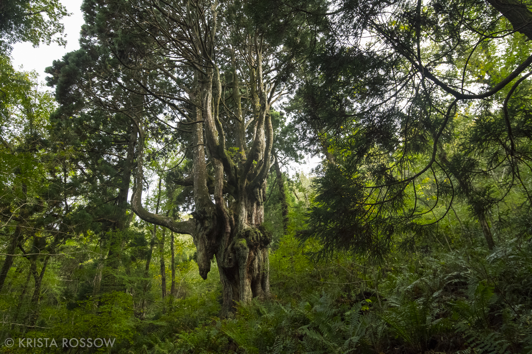 Shimane Prefecture Japan