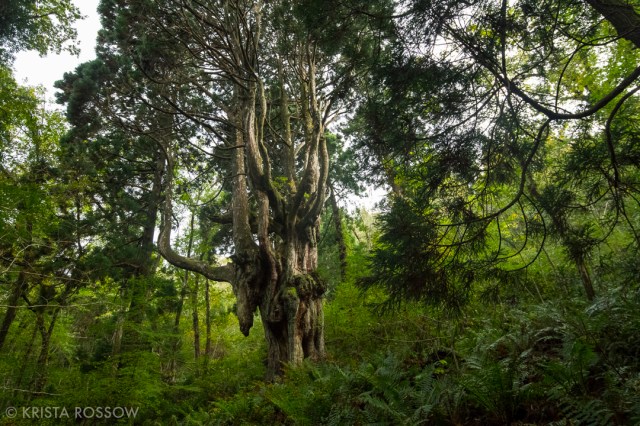 Shimane Prefecture Japan