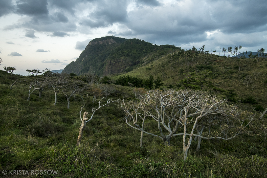 Shimane Prefecture Japan