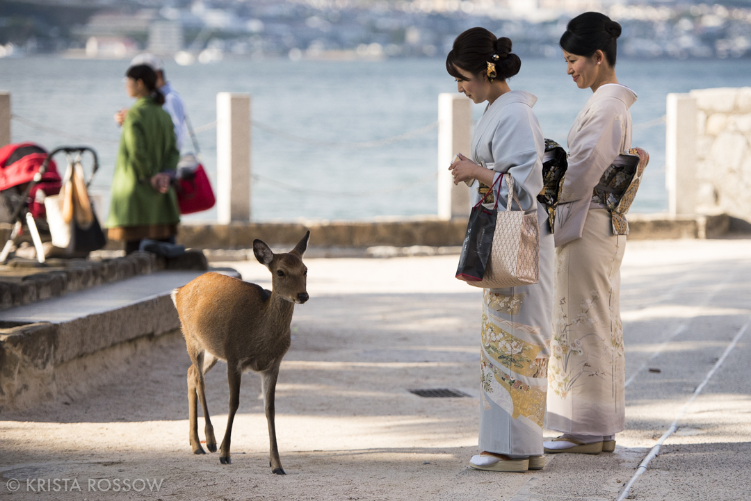 Hiroshima Prefecture