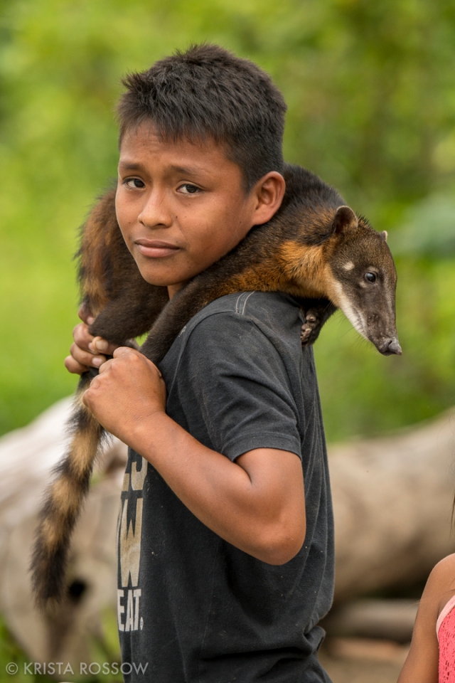 18-Krista-Rossow-Peru-Amazon-pet-coati