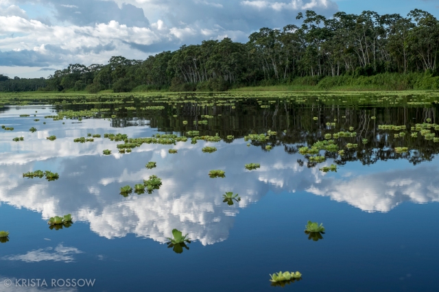 2-Krista-Rossow-Peru-Amazon-reflection