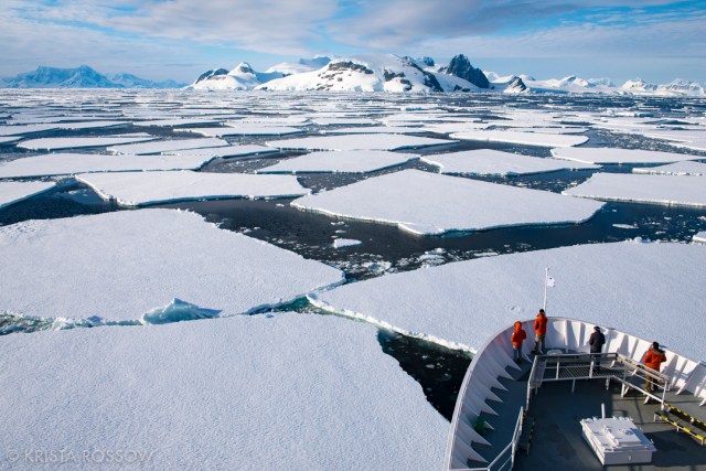 krista-rossow-antarctica-photography-sea-ice