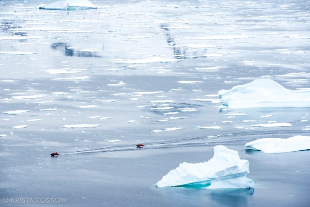 krista-rossow-antarctica-photography-zodiacs