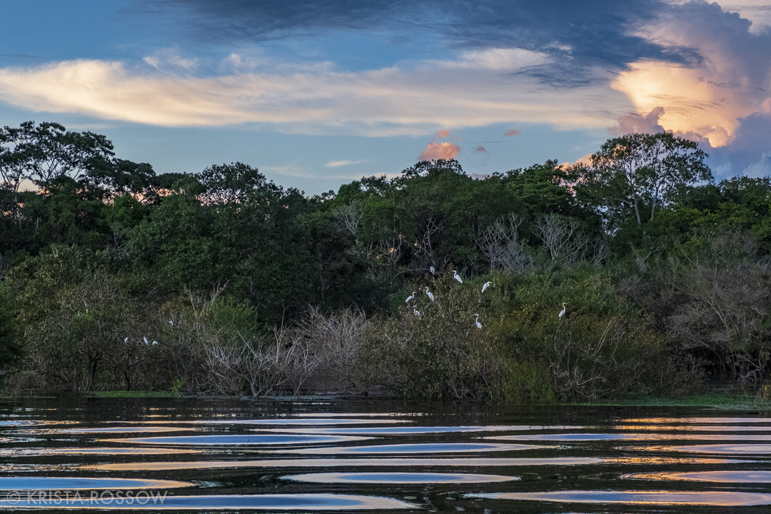 11-krista-rossow-peru-amazon-sunset