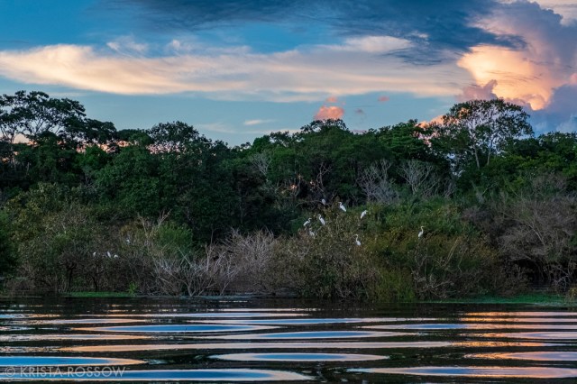11-krista-rossow-peru-amazon-sunset