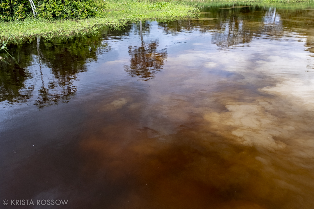 13-krista-rossow-peru-amazon-confluence