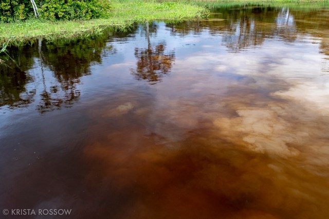 13-krista-rossow-peru-amazon-confluence