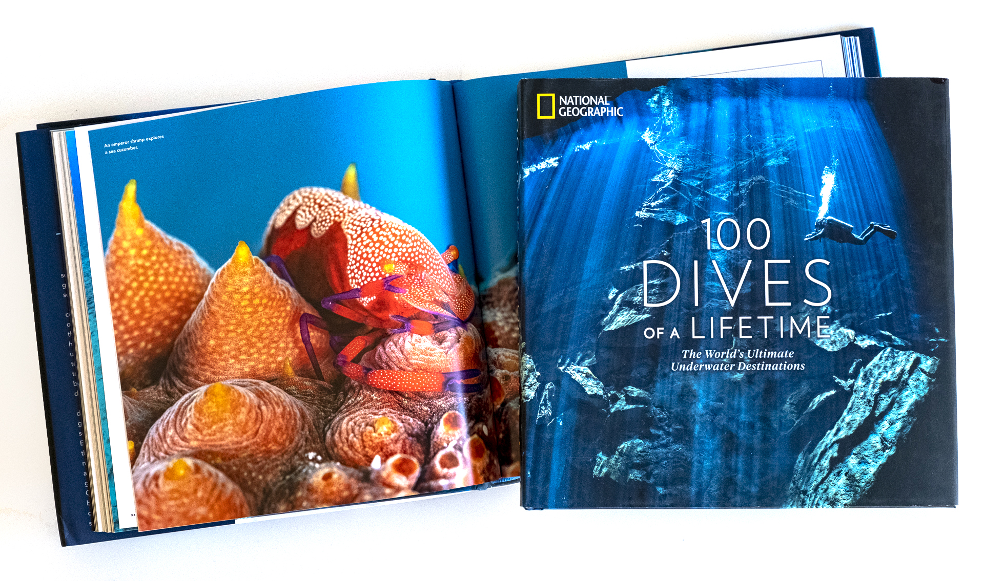 krista-rossow-book-photo-editing