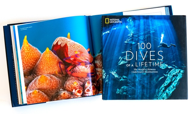 krista-rossow-book-photo-editing