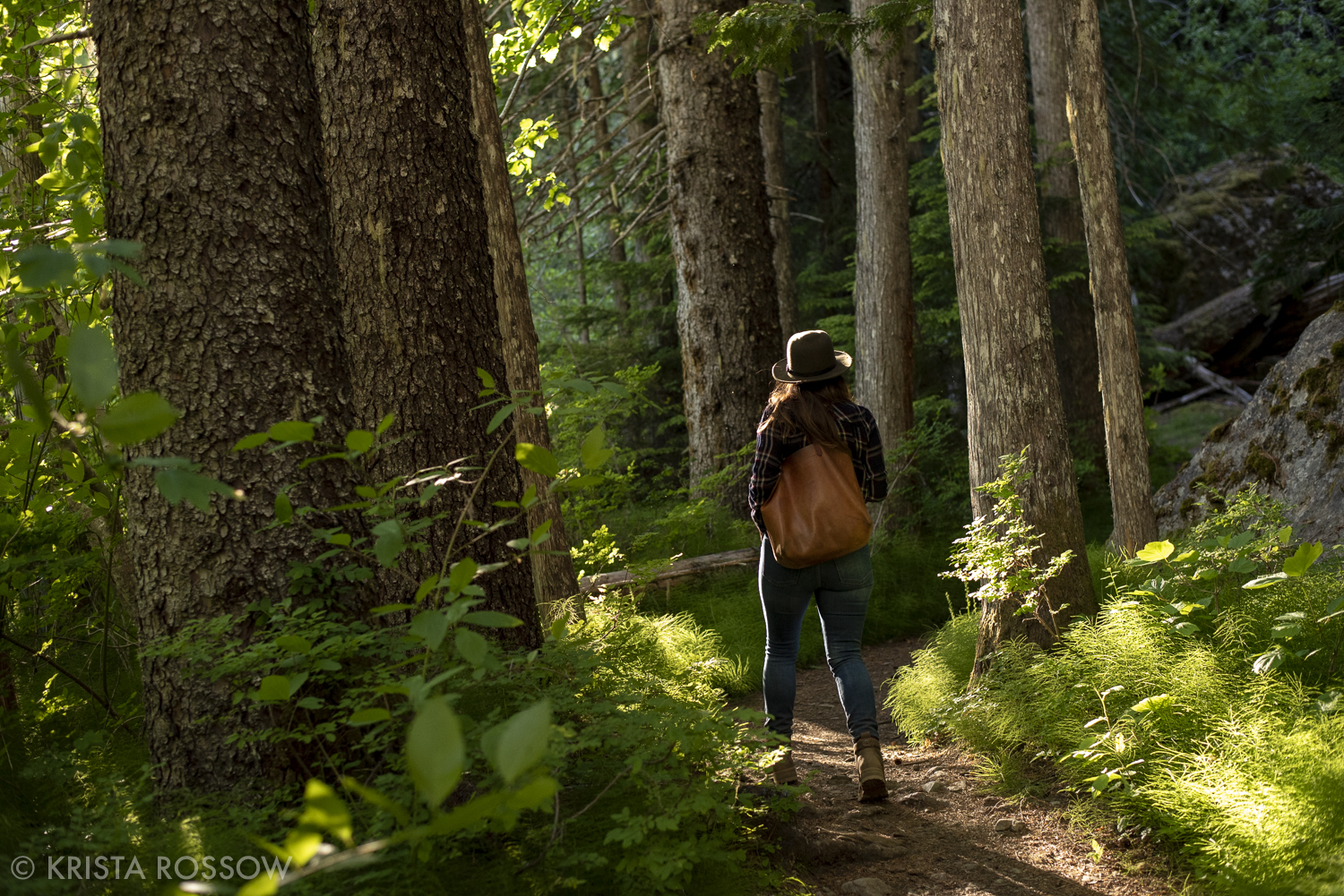 Scene from the Cheakamus Lake Trail in Whistler, British Columbia, Canada.