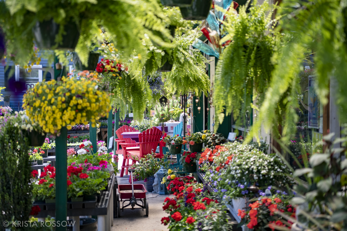 19-Krista-Rossow-Black-Mountain-mellie-macs