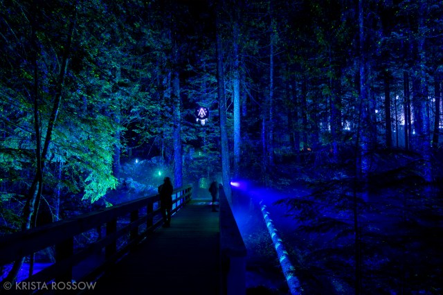 20-National-Geographic-Krista-Rossow-Whistler-vallea-lumina