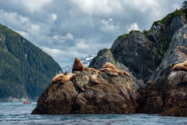 Krista-Rossow-Workshops-Alaska