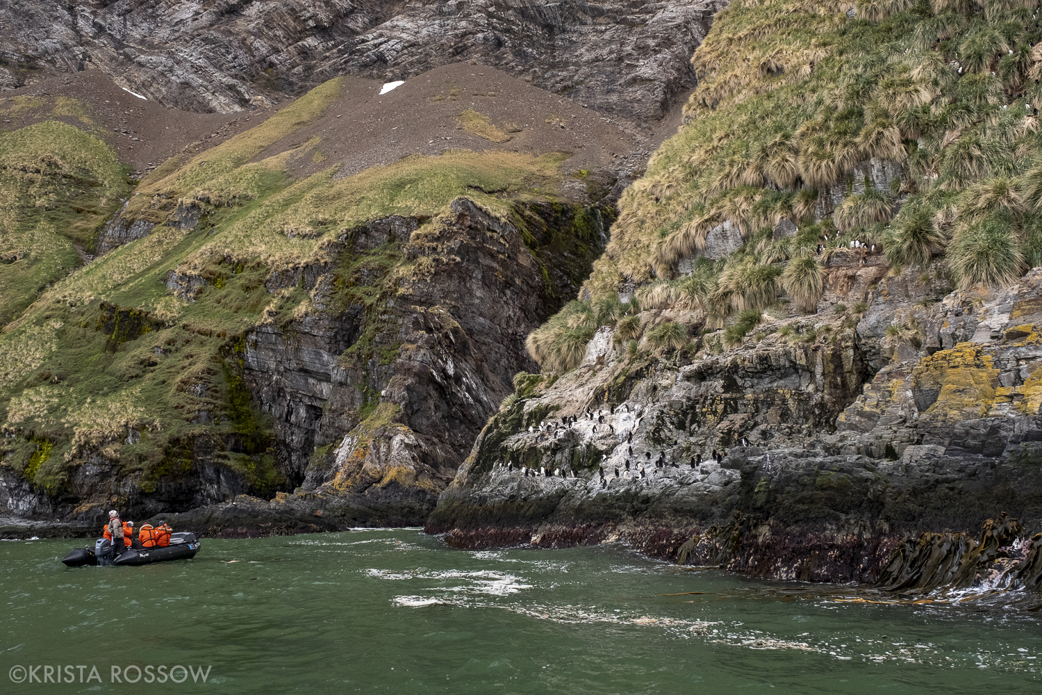 04-Krista-Rossow-South-Georgia-zodiac-cruise