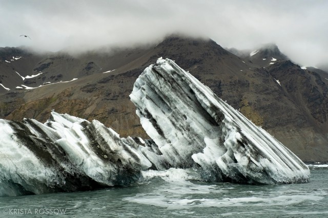 13-Krista-Rossow-South-Georgia-iceberg