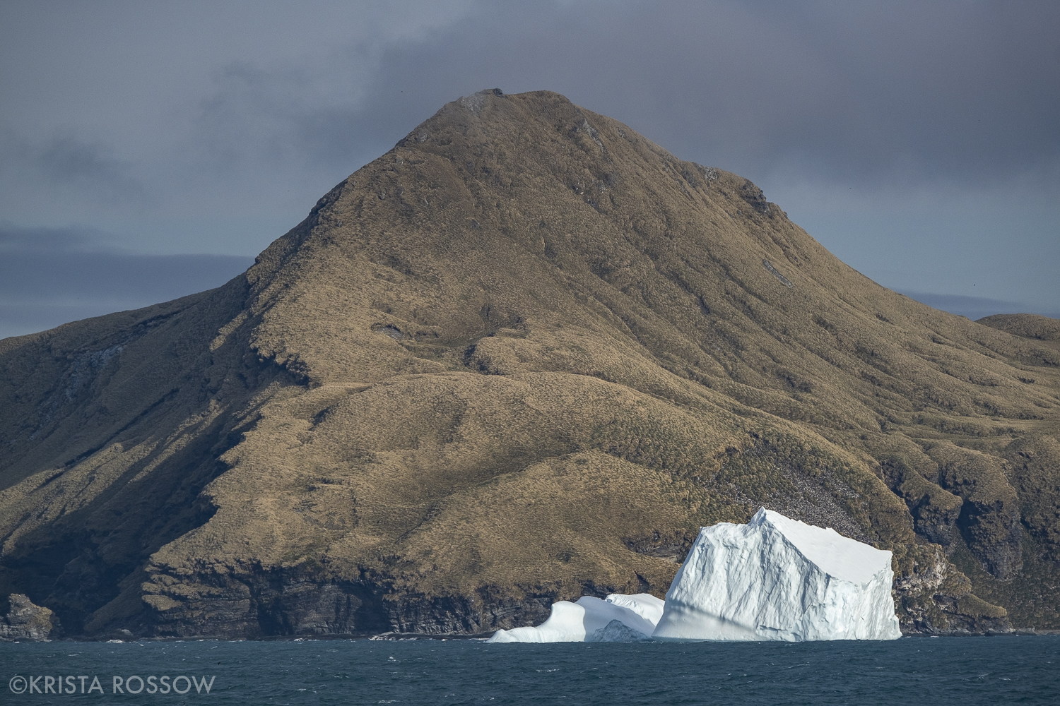 16-Krista-Rossow-South-Georgia-iceberg-mountain